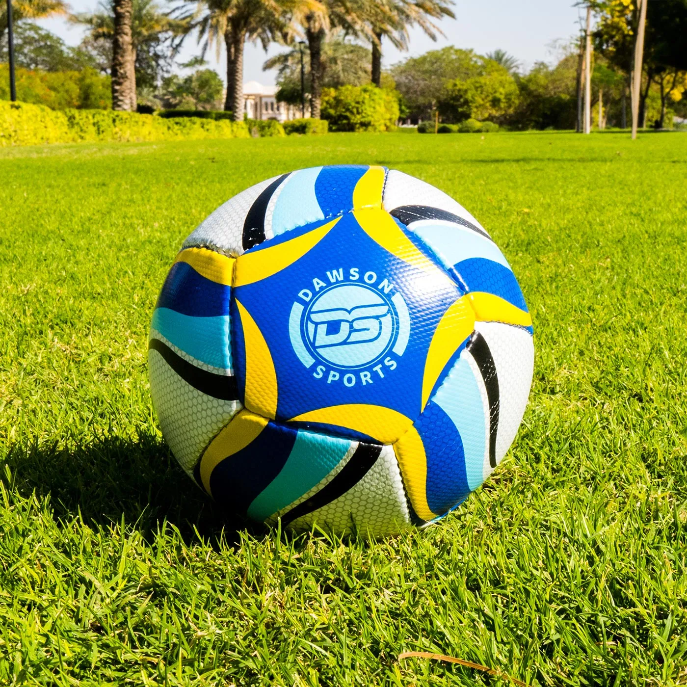 DS Mini Football (2 sizes available)