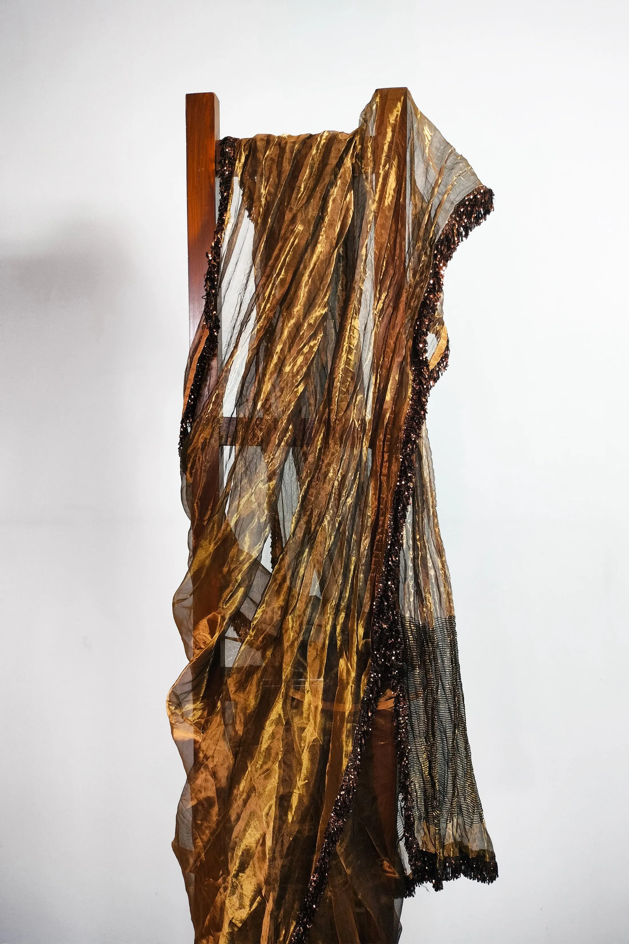 Gold tissue saree with Jhalar/fringe
